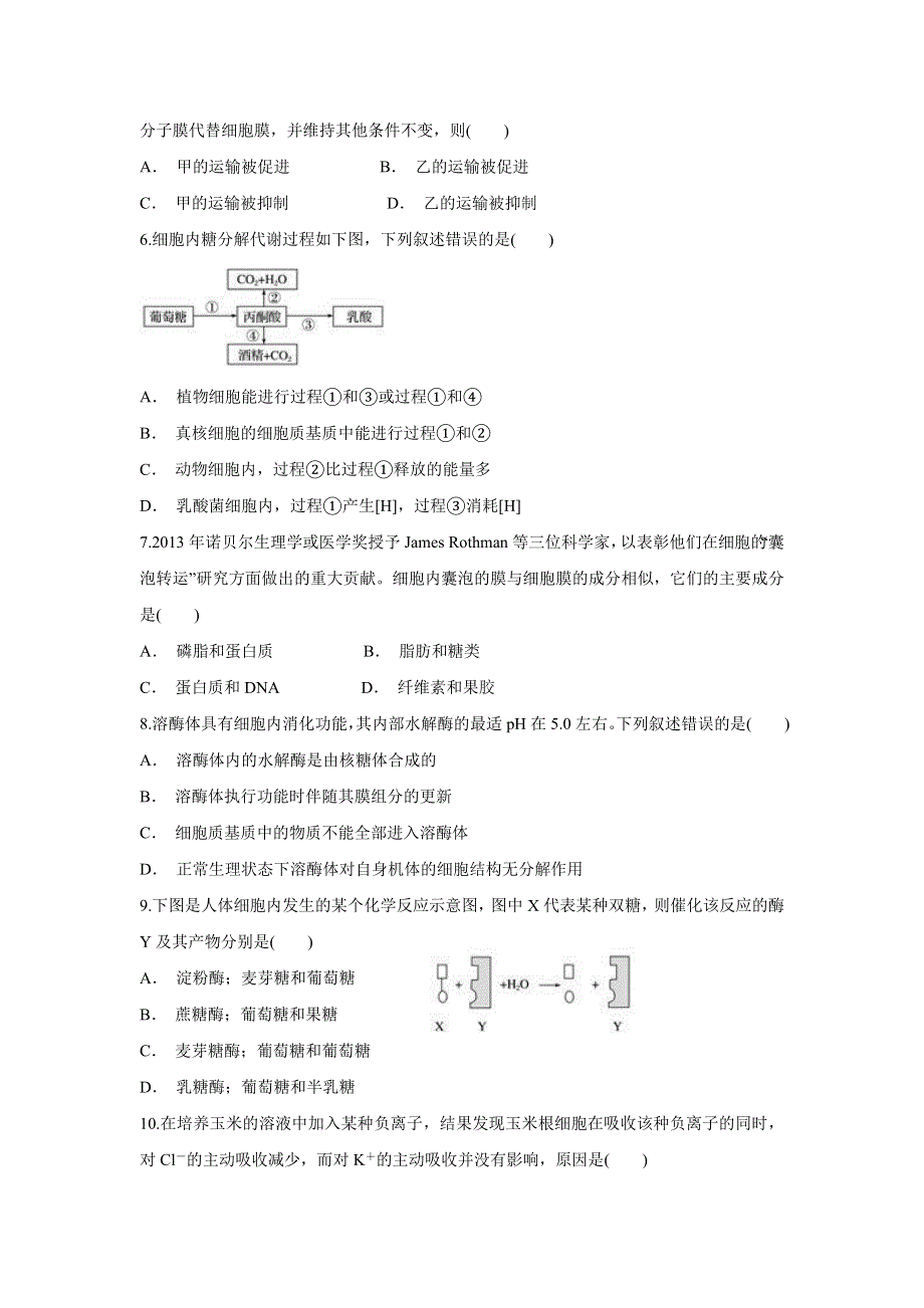 云南省江川二中2019-2020学年高一上学期期中考试生物试题 WORD版含答案.doc_第2页