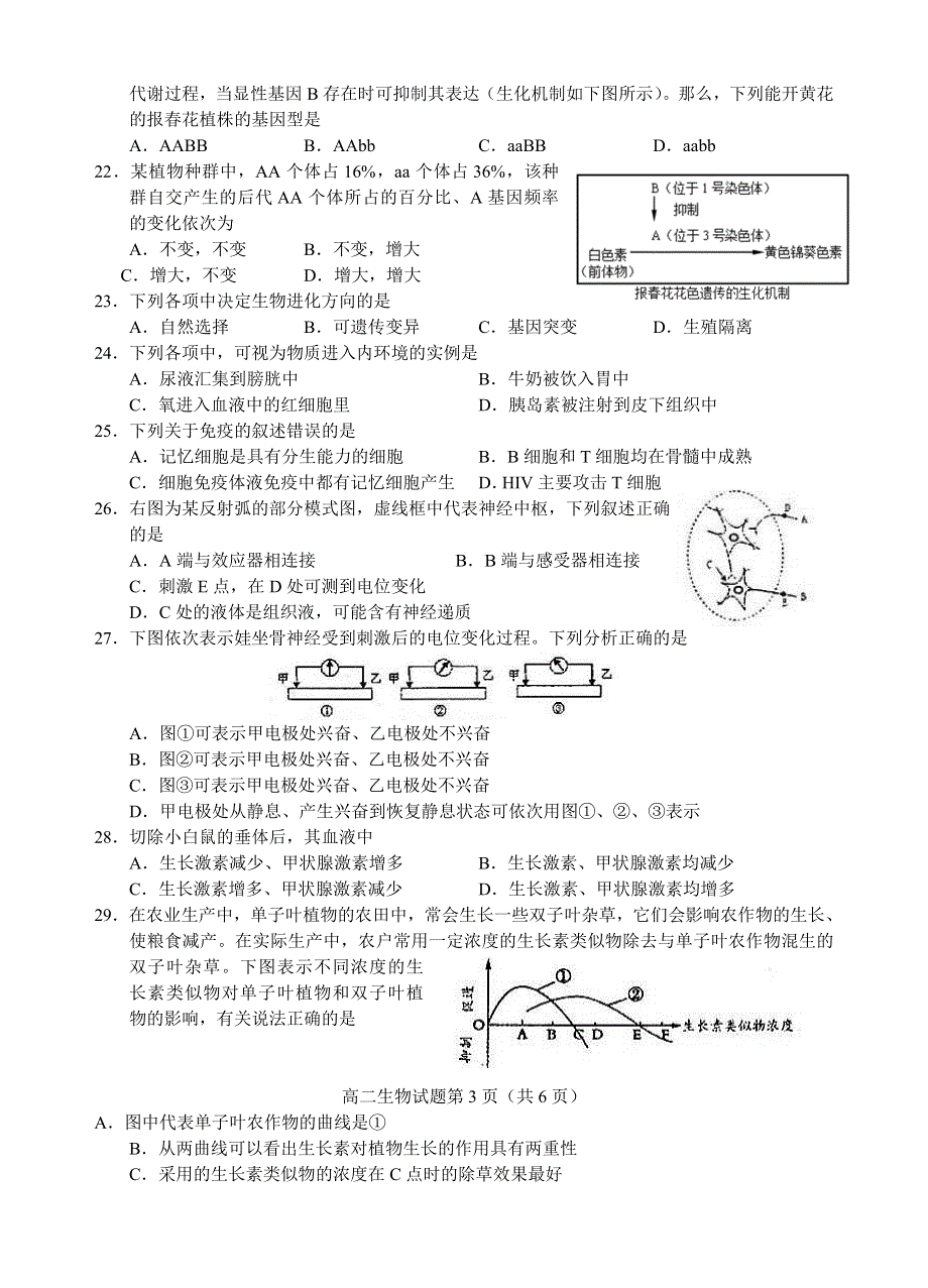 2011年徐州市高二生物学业水平测试模拟考试.doc_第3页