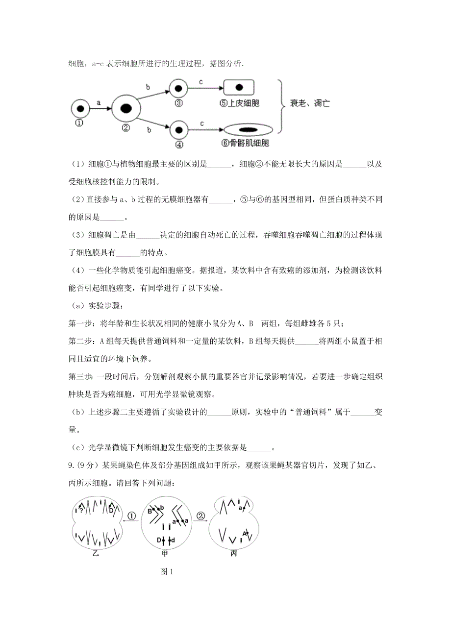 四川省南充高级中学2016届高三下学期高考压轴卷理科综合生物试题 WORD版含答案.doc_第3页