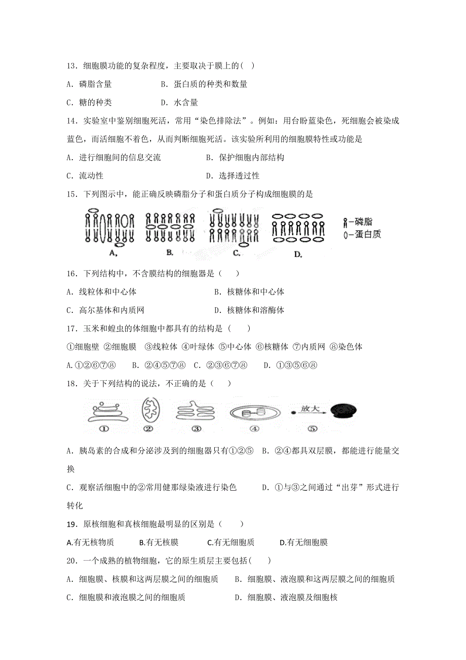 云南省曲靖市陆良县第二中学2014-2015学年高一上学期期末考试生物试题 WORD版缺答案.doc_第2页