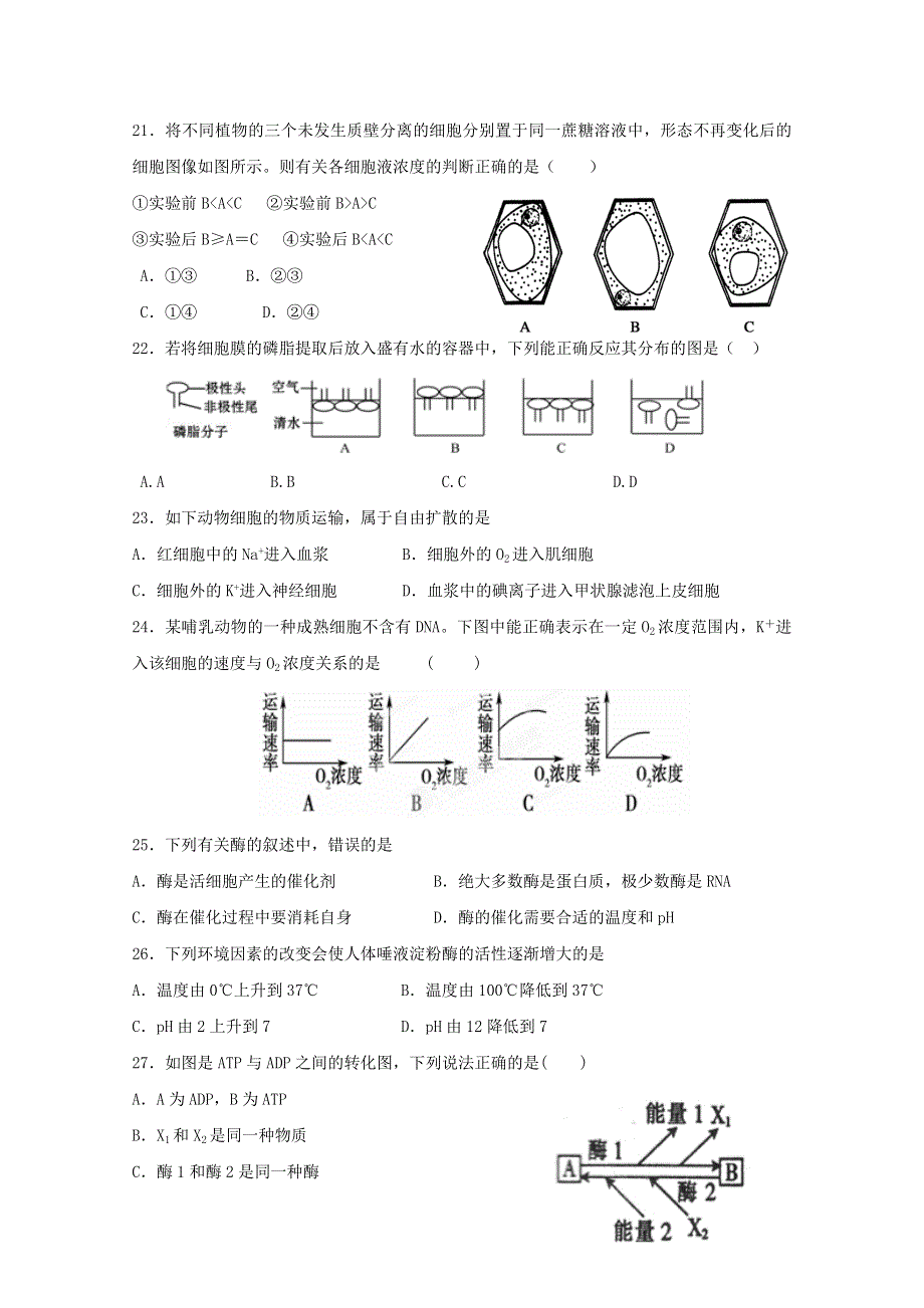 云南省曲靖市陆良县第二中学2014-2015学年高一上学期期末考试生物试题 WORD版缺答案.doc_第3页