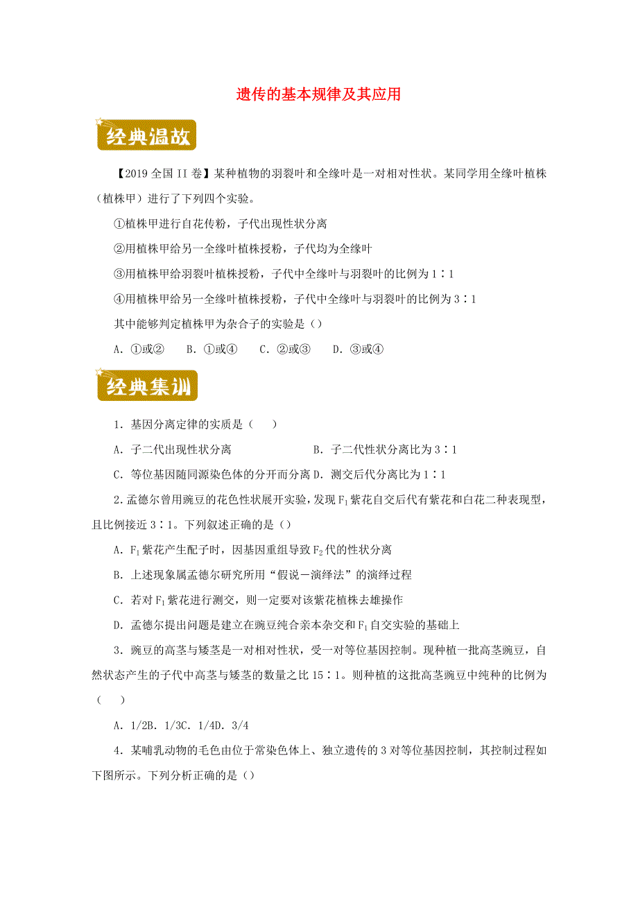 2020-2021学年高二生物下学期暑假训练6 遗传的基本规律及其应用（含解析）.docx_第1页