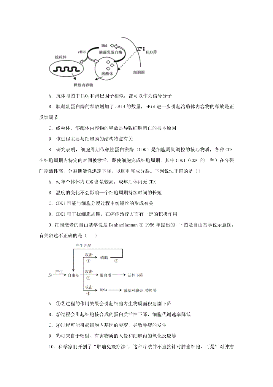 2020-2021学年高二生物下学期暑假训练4 细胞的生命历程（含减数分裂）（含解析）.docx_第3页