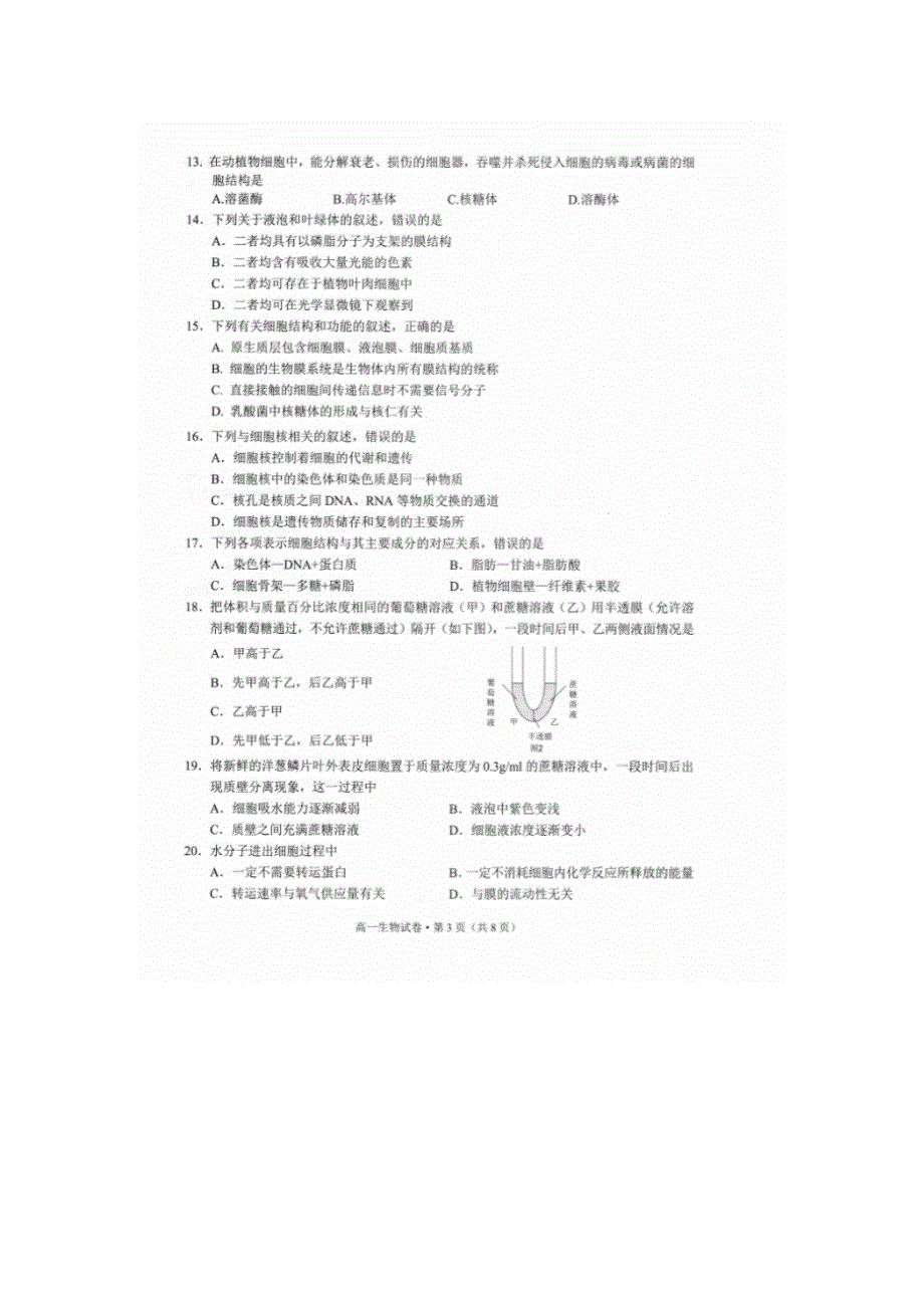 云南省玉溪市2020-2021学年高一上学期教学质量检测生物试题 扫描版含答案.docx_第3页