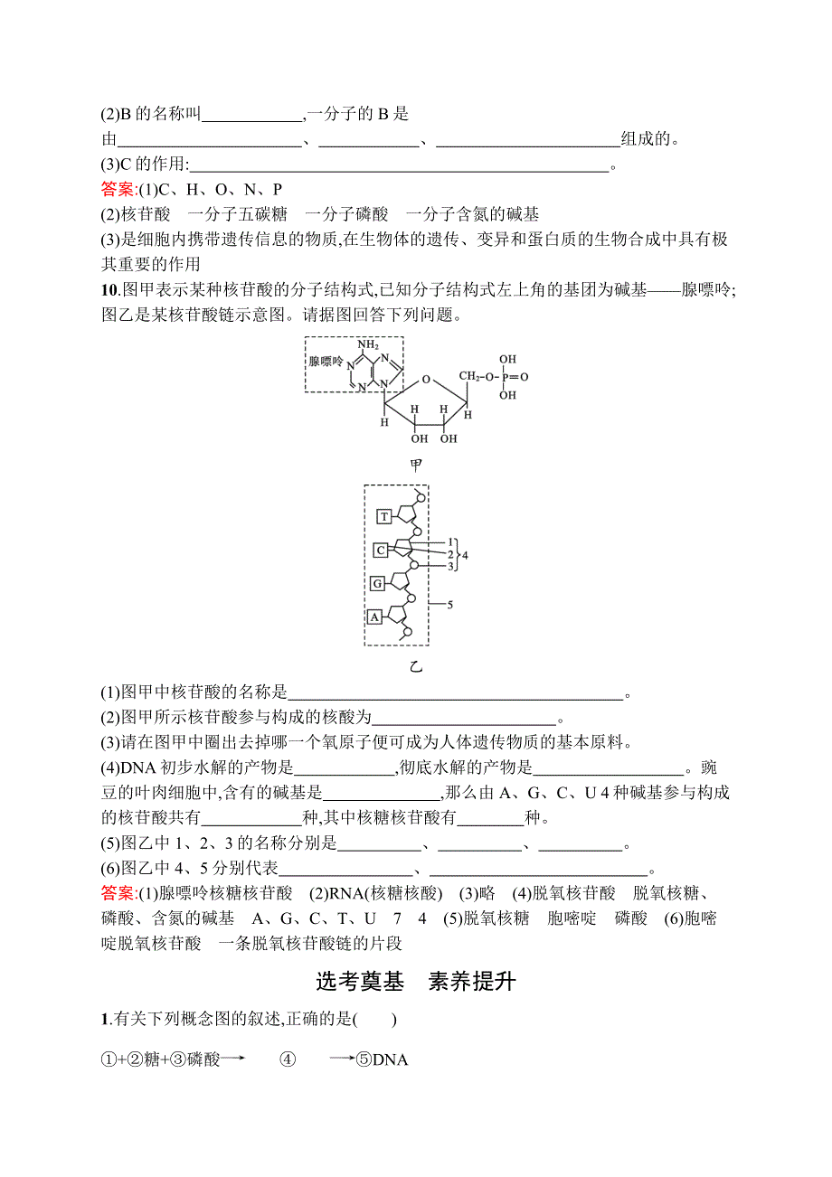 高中新教材人教版生物课后习题 必修1 第2章　第5节　核酸是遗传信息的携带者 WORD版含解析.doc_第3页