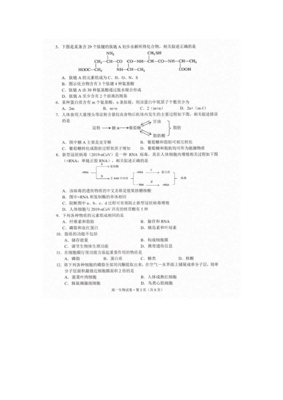 云南省玉溪市2020-2021学年高一生物上学期期末质量检测试题（扫描版）.doc_第2页