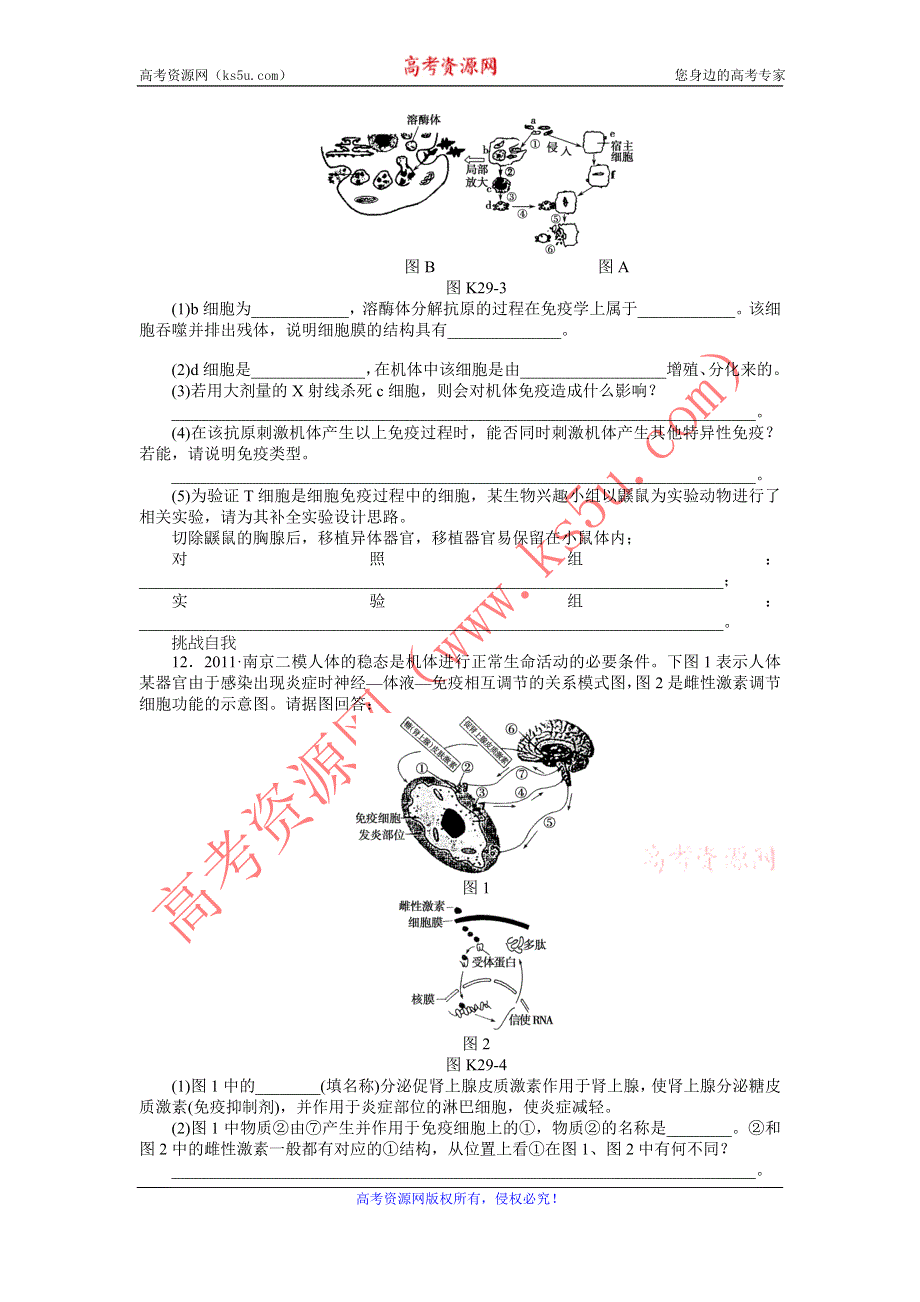 2013届高三人教版生物一轮复习课时作业（29）第29讲 免疫调节A.doc_第3页