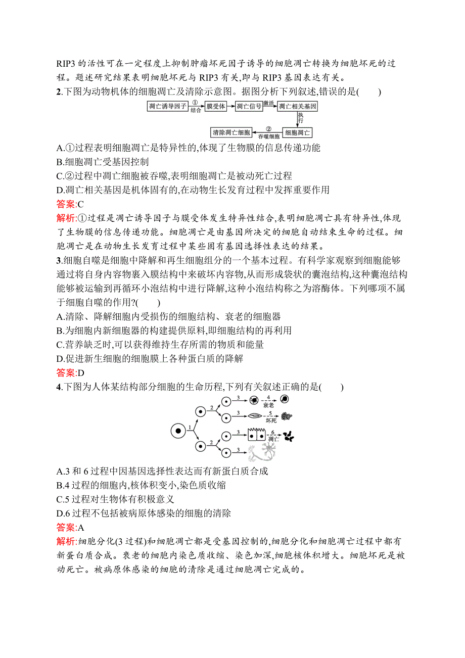 高中新教材人教版生物课后习题 必修1 第6章　第3节　细胞的衰老和死亡 WORD版含解析.doc_第3页