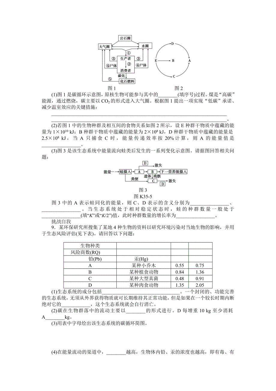 2013届高三人教版生物一轮复习课时作业（35）第35讲 生态系统的能量流动和物质循环.doc_第3页