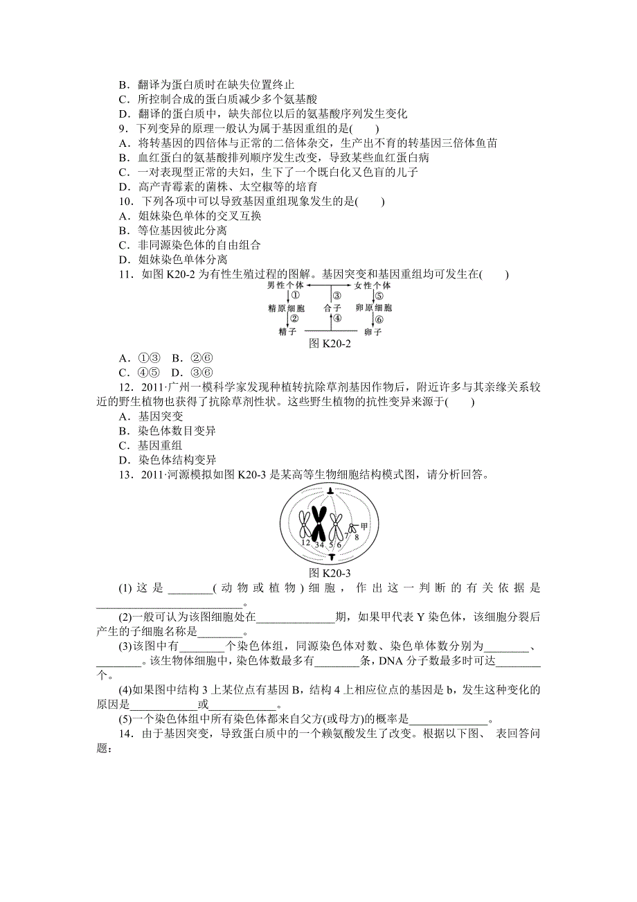 2013届高三人教版生物一轮复习课时作业（20）第20讲 基因突变和基因重组.doc_第2页