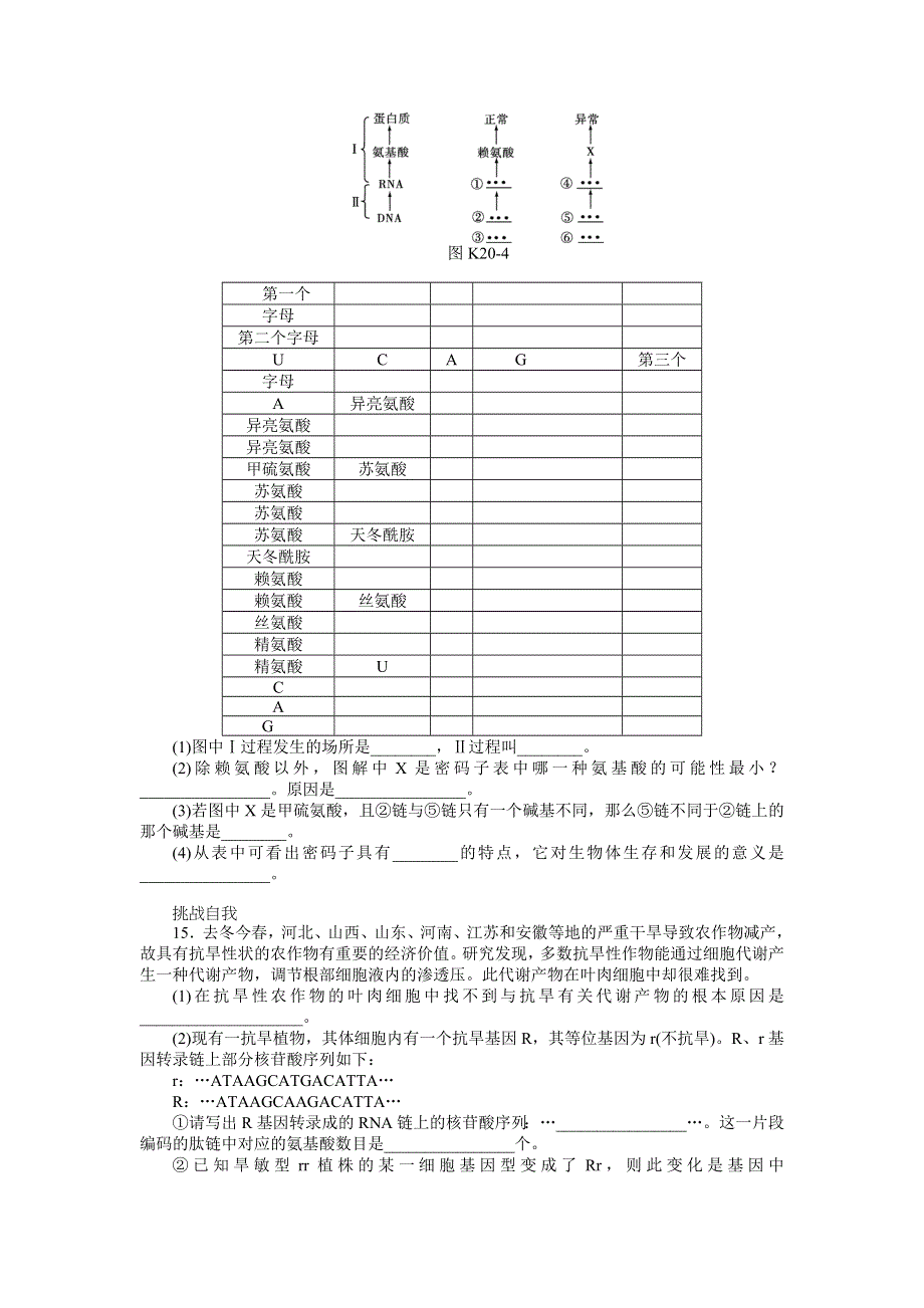 2013届高三人教版生物一轮复习课时作业（20）第20讲 基因突变和基因重组.doc_第3页