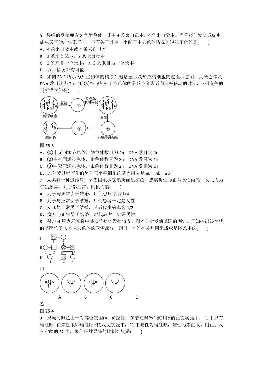 2013届高三人教版生物一轮复习45分钟单元综合训练卷（5）（考查范围：第5单元）.doc_第2页