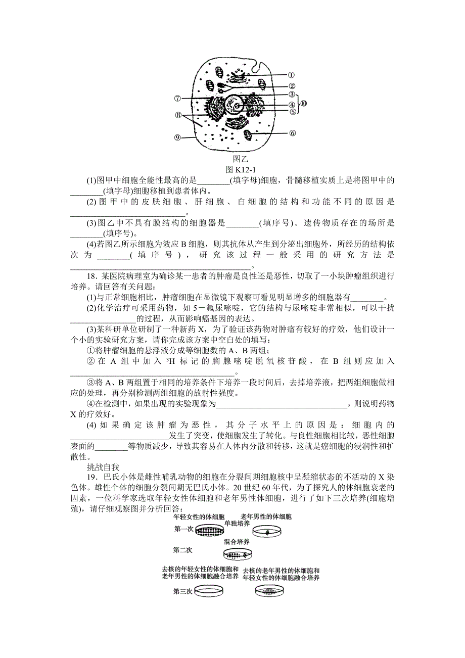 2013届高三人教版生物一轮复习课时作业（12）第12讲 细胞的分化、衰老、凋亡和癌变.doc_第3页
