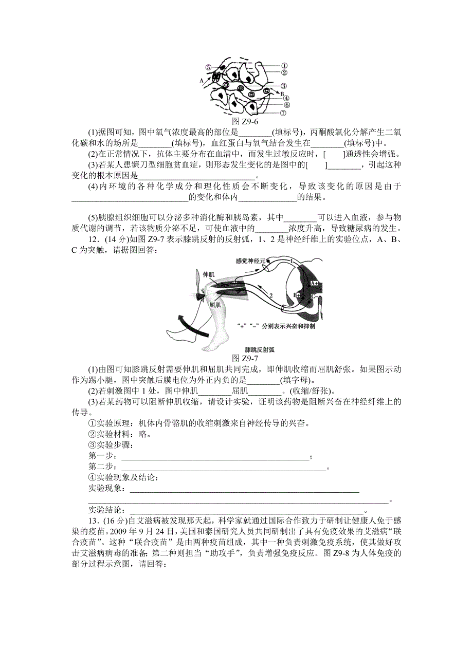 2013届高三人教版生物一轮复习45分钟单元综合训练卷（9）（考查范围：第9单元）.doc_第3页