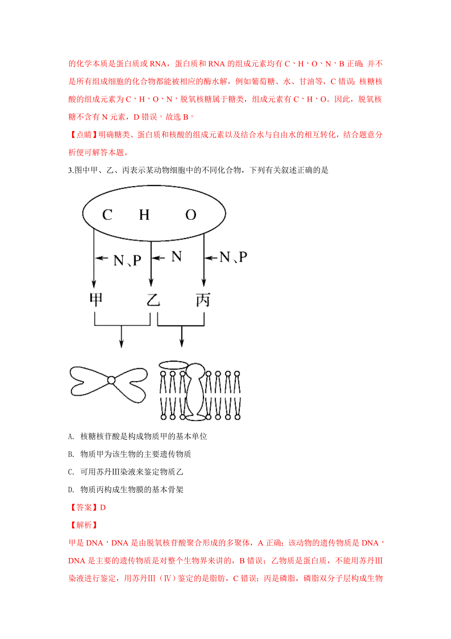 云南省玉溪市一中2019届高三上学期第二次调研考试生物试题 WORD版含解析.doc_第2页