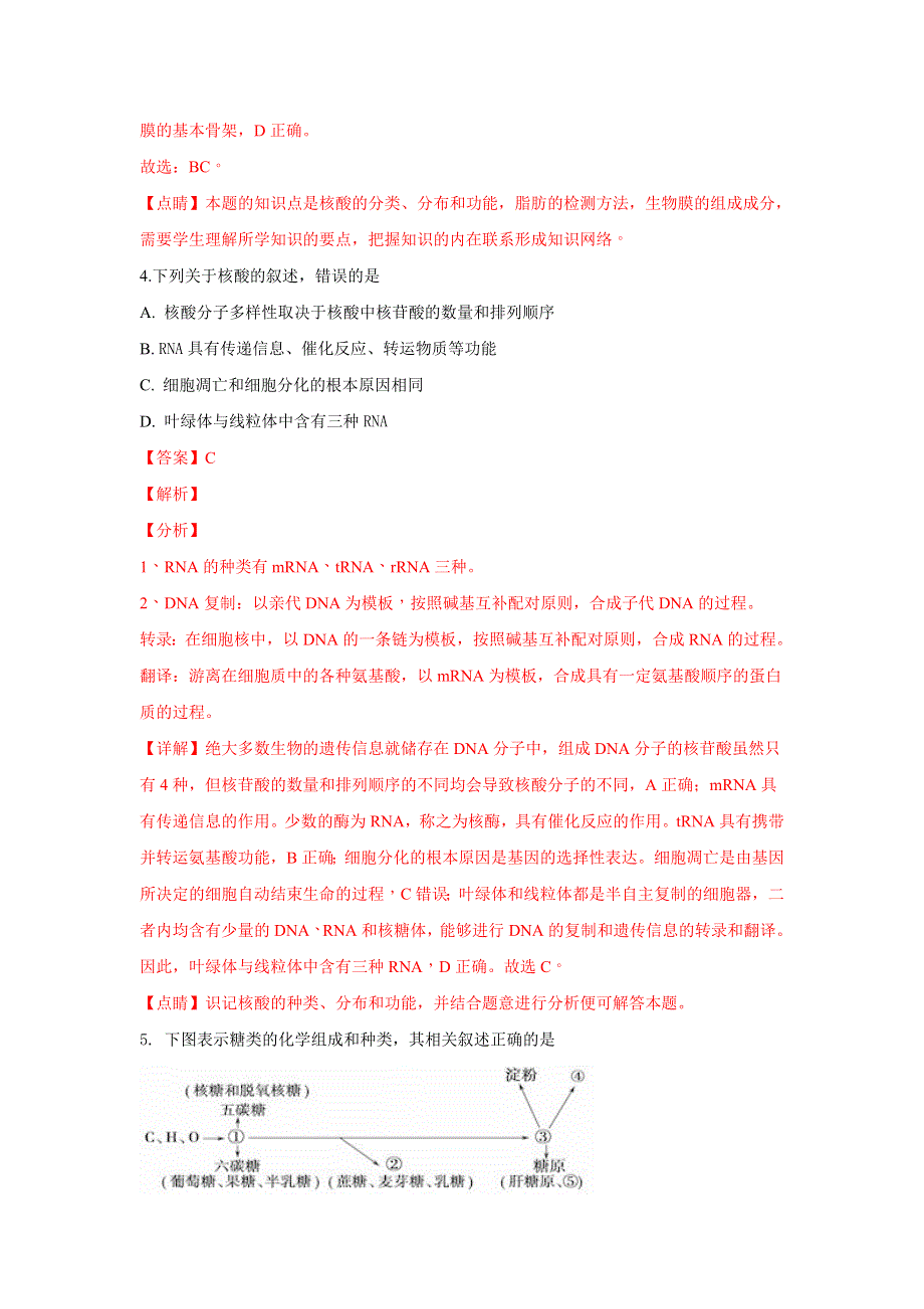 云南省玉溪市一中2019届高三上学期第二次调研考试生物试题 WORD版含解析.doc_第3页