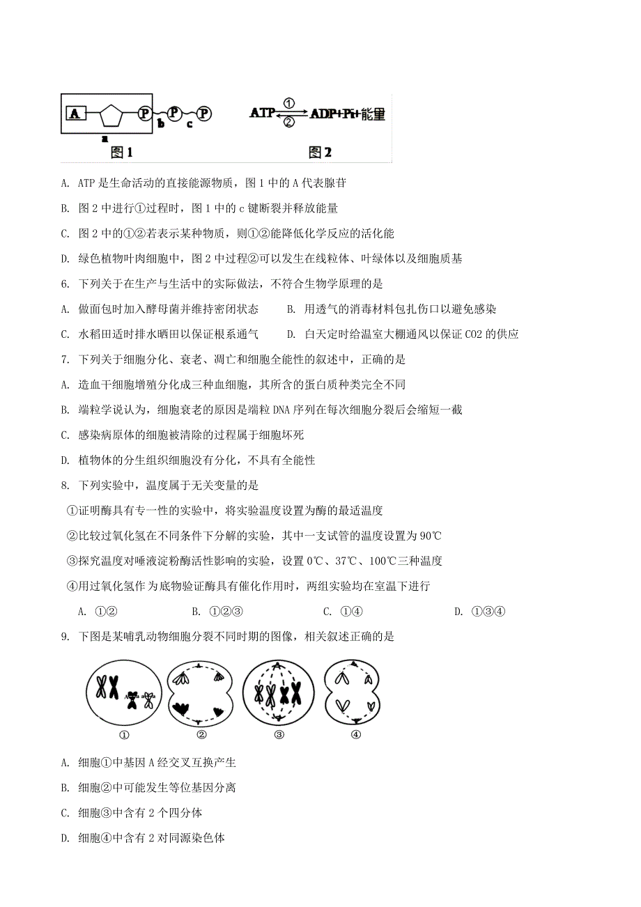 云南省玉溪市一中2022-2023学年高二上学期期中考试生物试题 WORD版含答案.doc_第2页