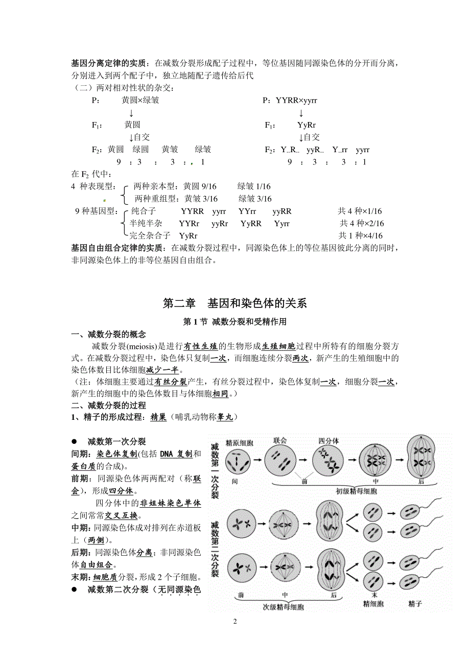 （暑期预习）2021高一生物 必修2知识点汇总（pdf）.pdf_第2页