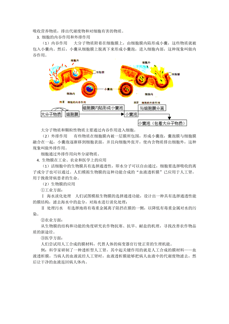 2011年高一生物同步教案：3.3《物质的跨膜运输》（苏教版必修1）.doc_第3页