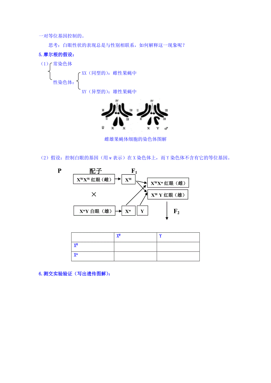 《名师课堂 备课包》2013-2014学年高一下学期生物必修2学案 第二章第2节.doc_第2页