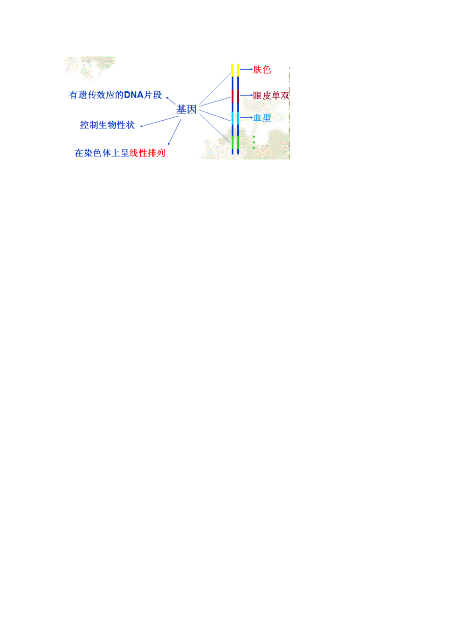 《名师课堂 备课包》2013-2014学年高一下学期生物必修2教案 第四章第3.doc_第2页