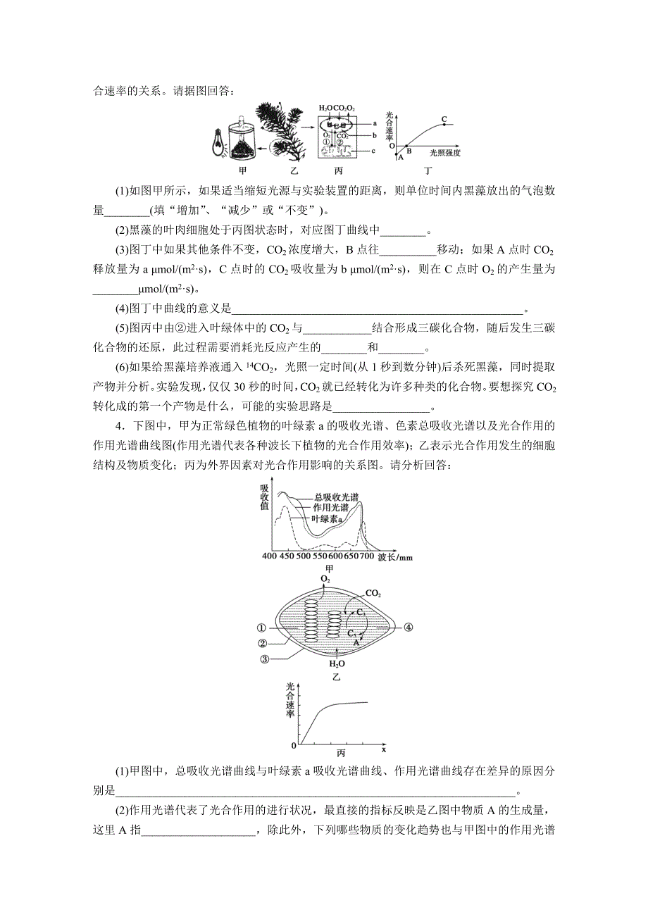 2013届高三二轮题型分析-- 细胞呼吸和光合作用类.doc_第2页