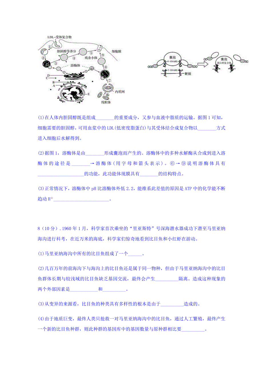 云南省石屏县一中2018届高三四月份考试生物试题 WORD版含答案.doc_第3页