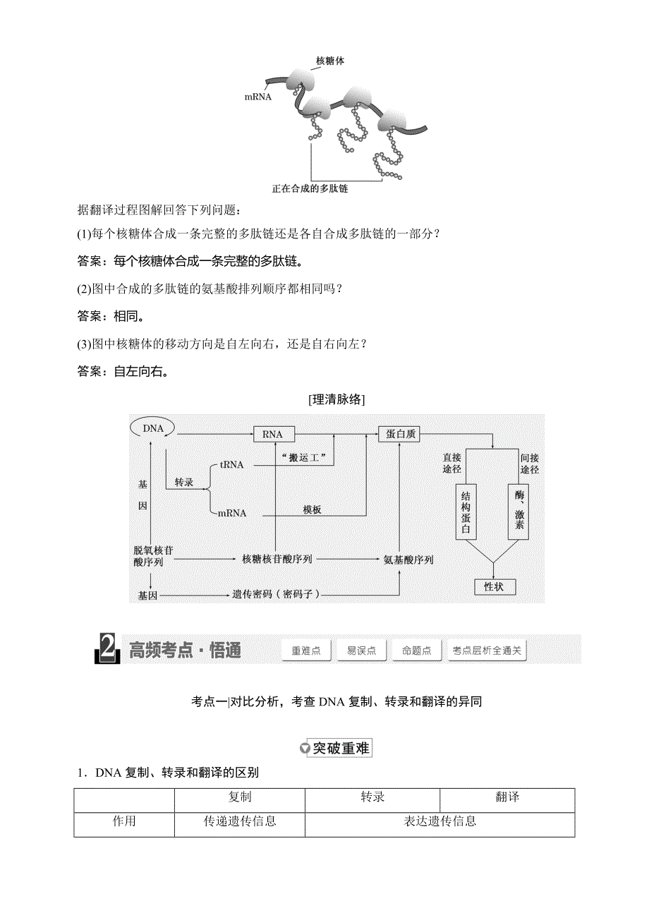 《三维设计》2015高考生物一轮精品讲义：2.2.3基因的表达.doc_第3页