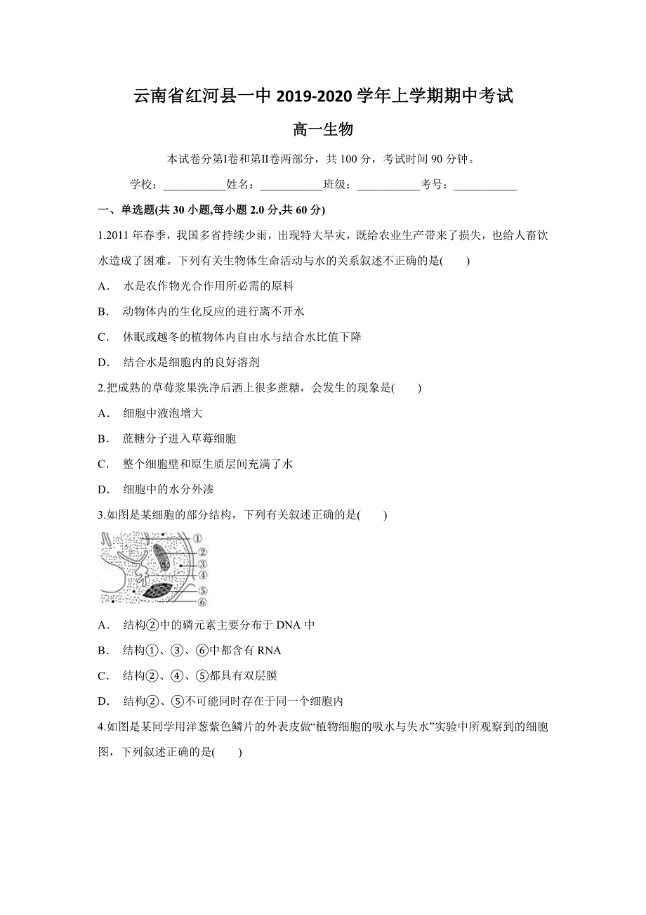 云南省红河县一中2019-2020学年高一上学期期中考试生物试题 WORD版含答案.doc_第1页