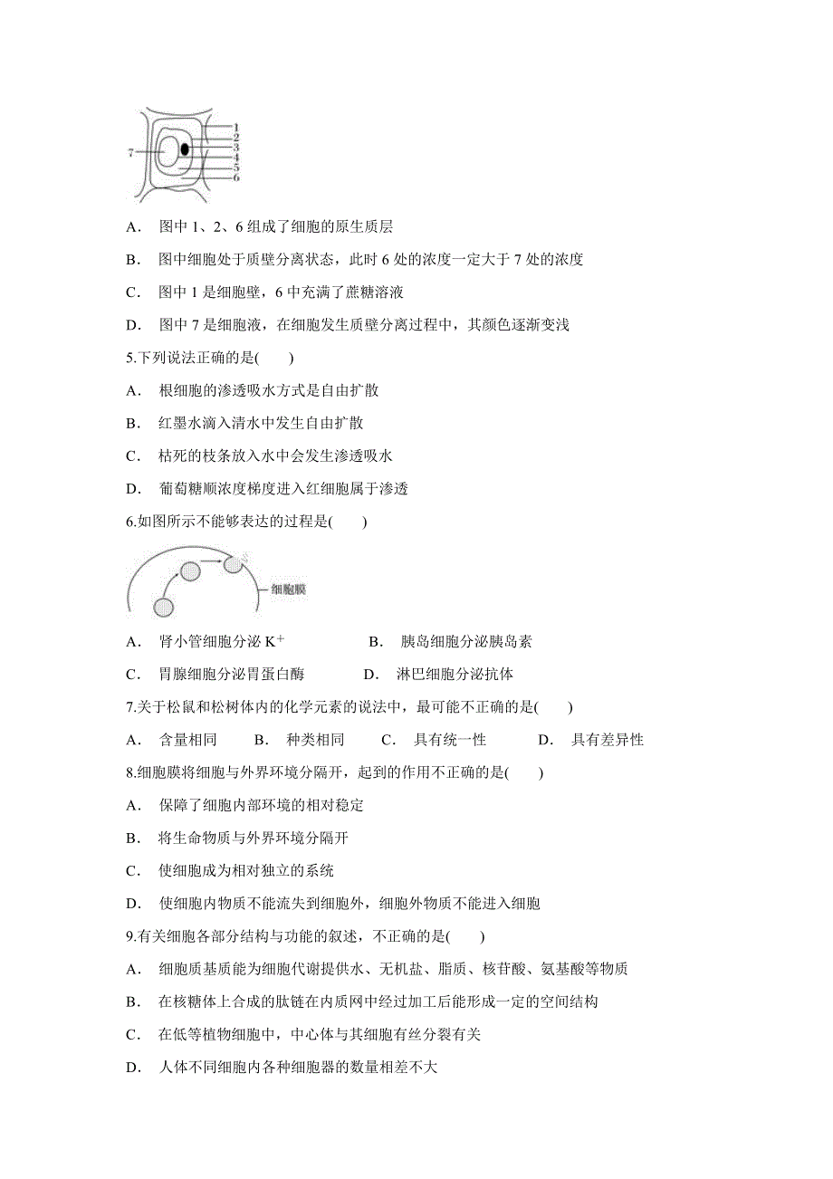 云南省红河县一中2019-2020学年高一上学期期中考试生物试题 WORD版含答案.doc_第2页