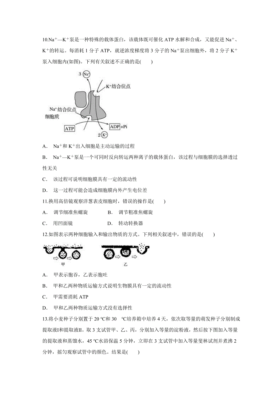 云南省红河县一中2019-2020学年高一上学期期中考试生物试题 WORD版含答案.doc_第3页