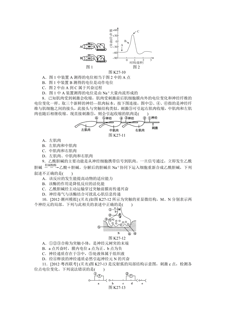 2013届高三广东专版生物一轮复习课时作业27 神经调节B.doc_第2页