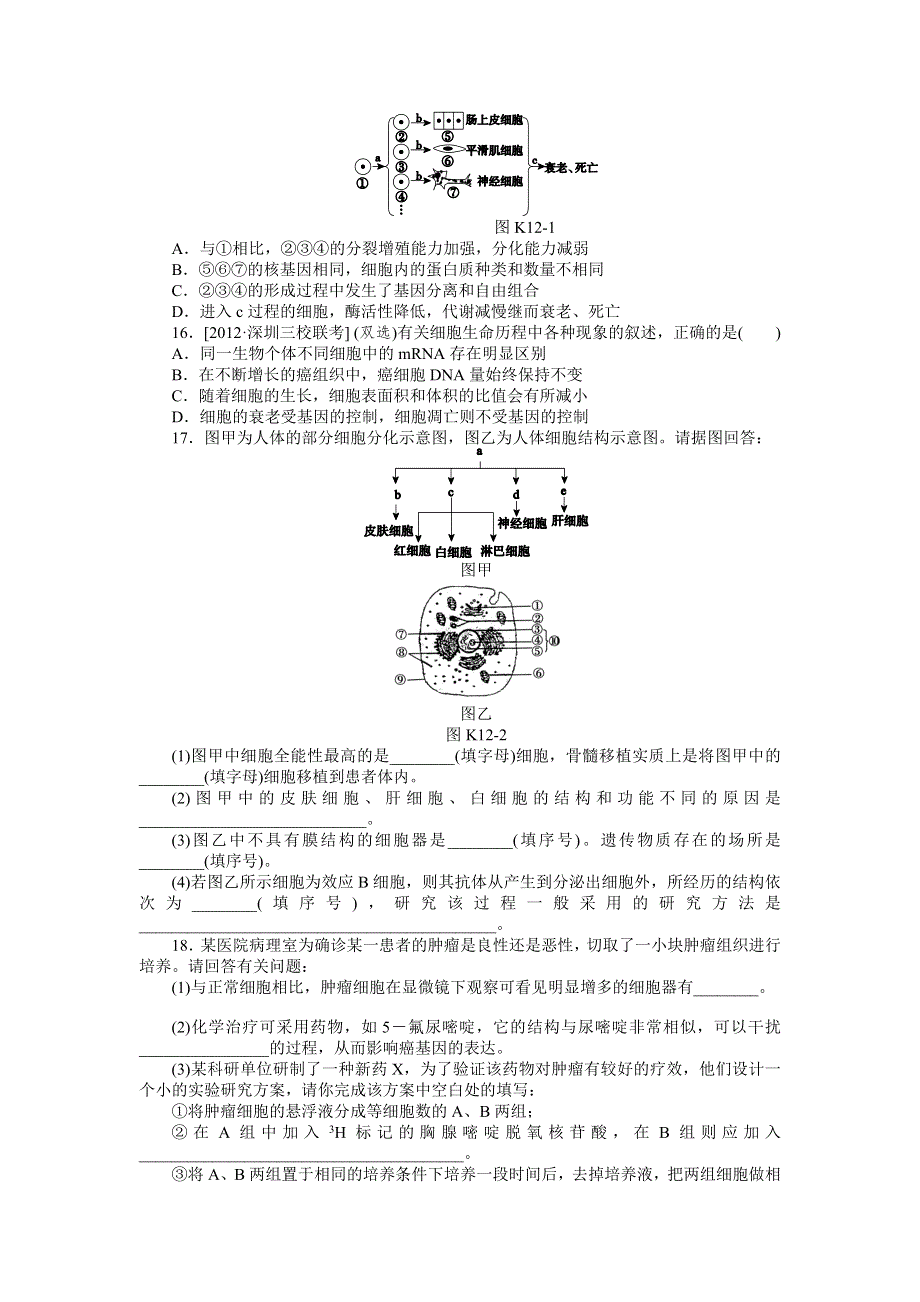 2013届高三广东专版生物一轮复习课时作业12 细胞的分化、衰老、凋亡和癌变.doc_第3页