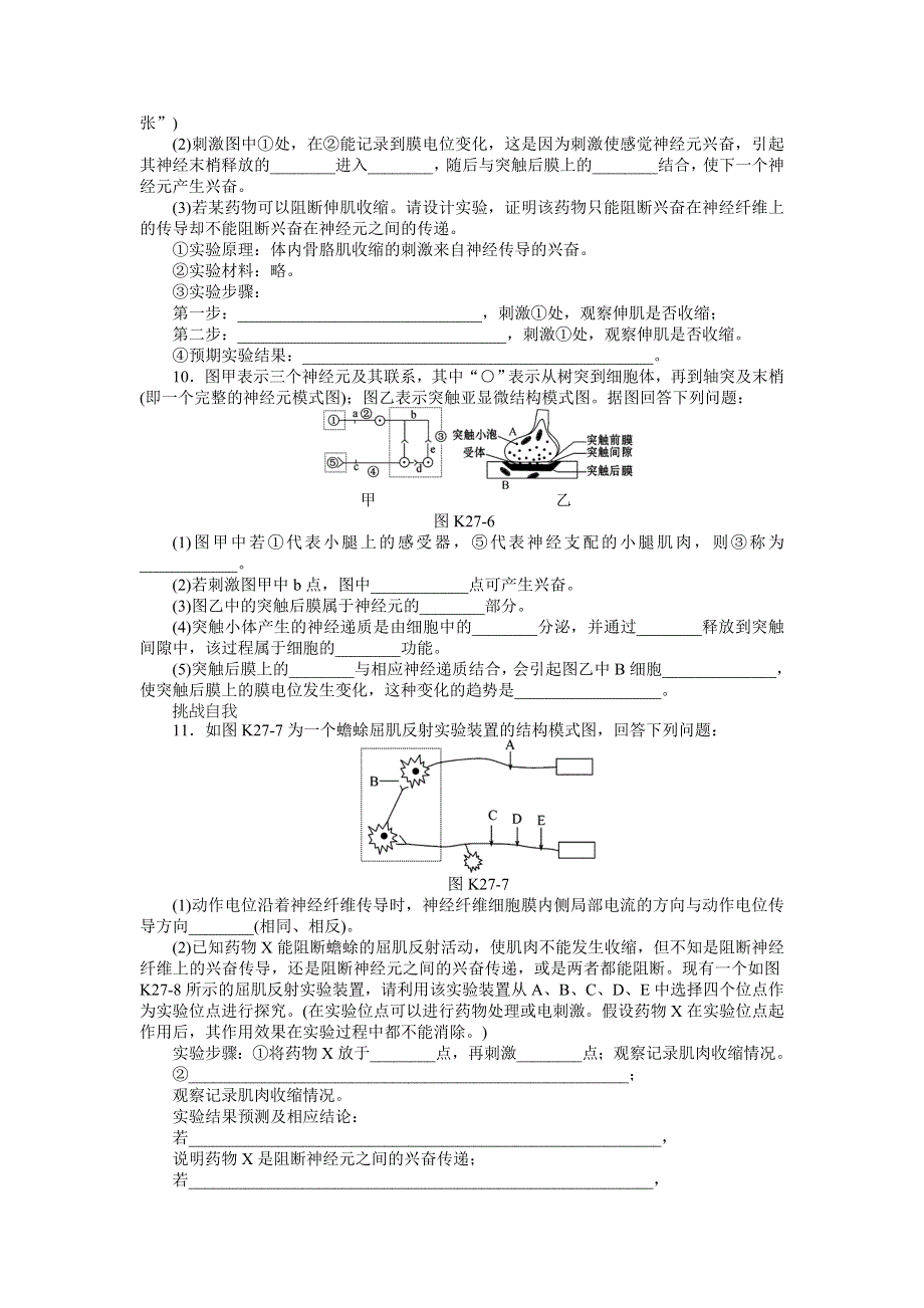 2013届高三广东专版生物一轮复习课时作业27 神经调节A.doc_第3页