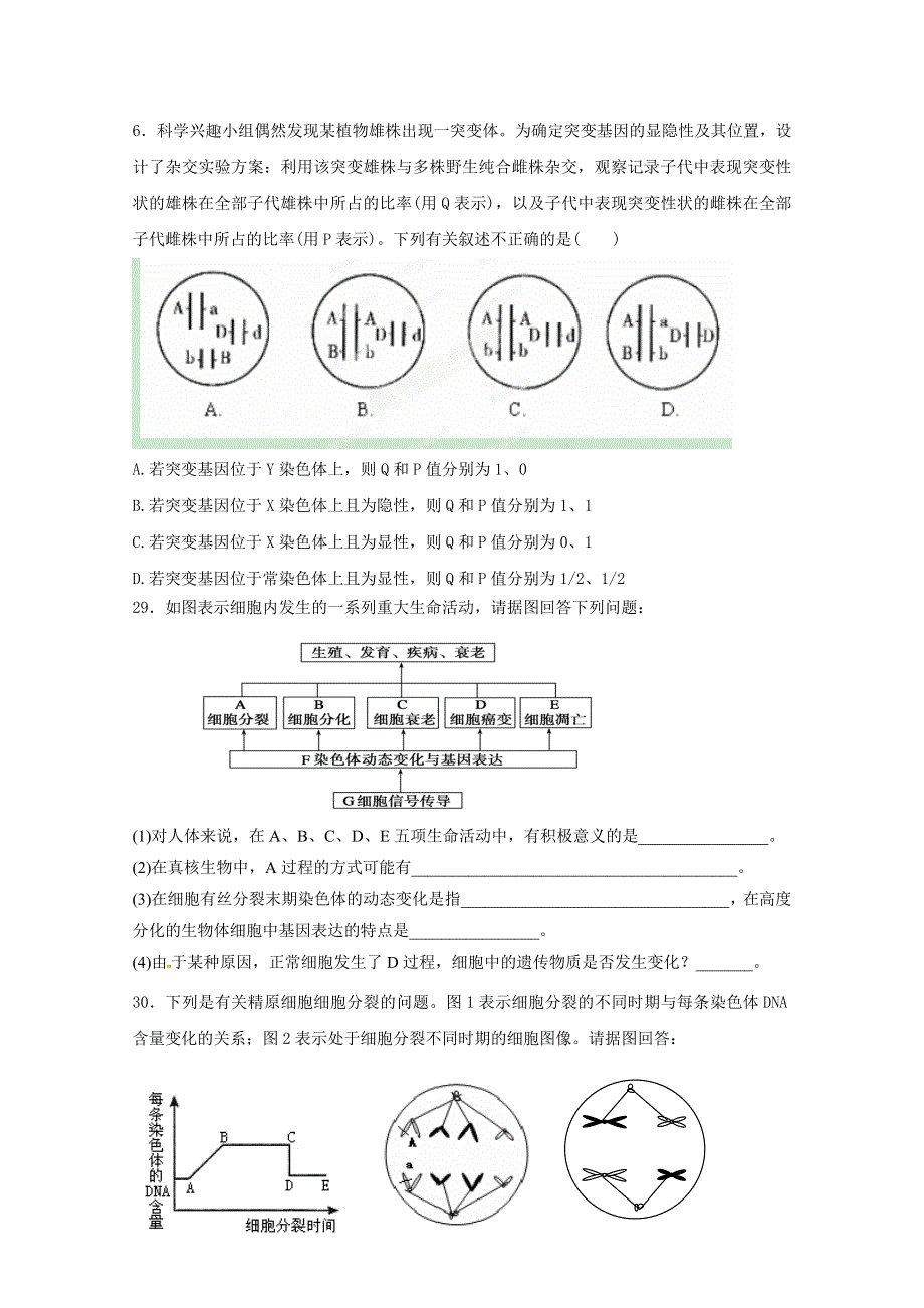 《名校》山东省临沂第一中学2016届高三10月份教学质量检测生物试题 WORD版含答案.doc_第2页