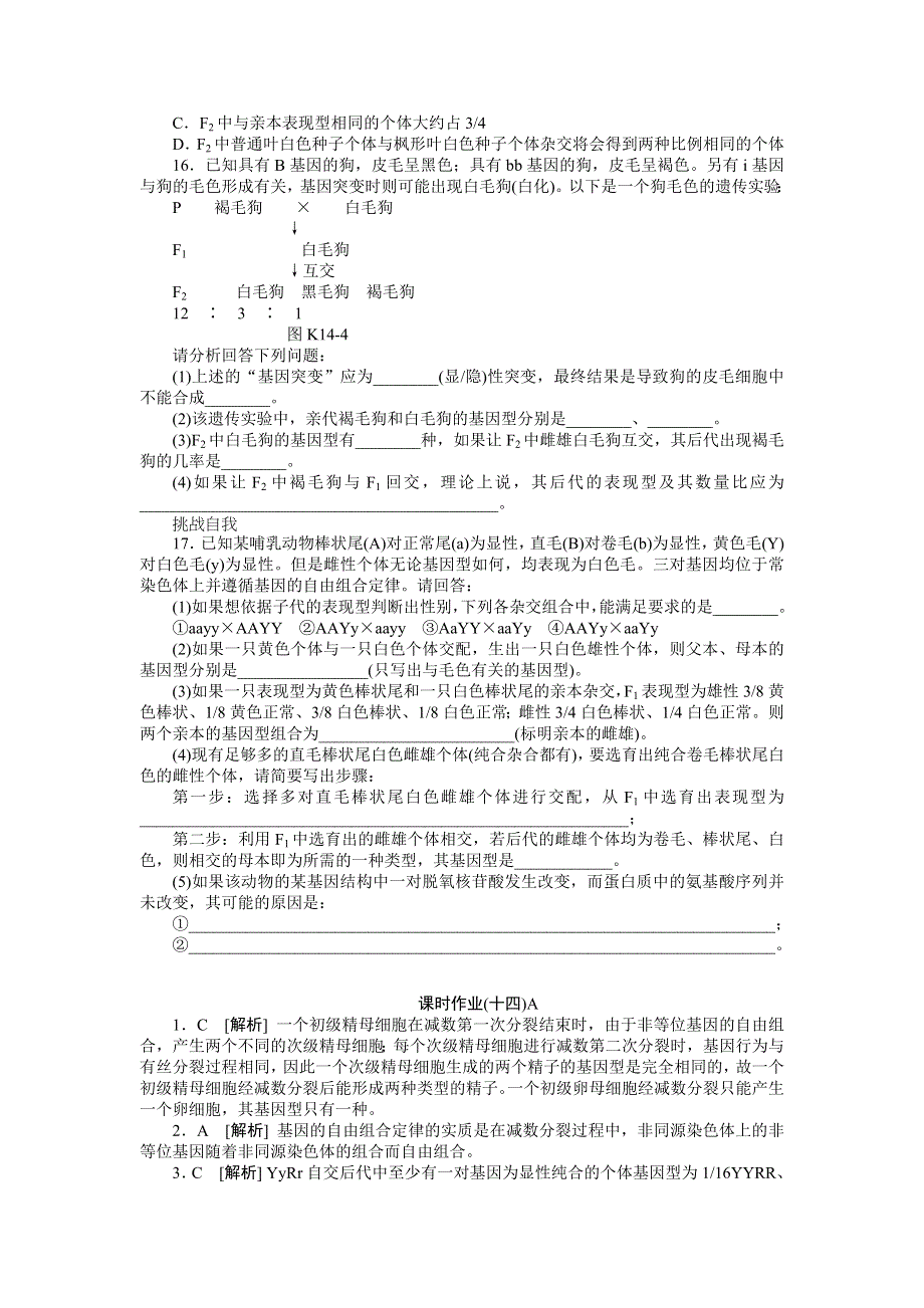 2013届高三广东专版生物一轮复习课时作业14 孟德尔的豌豆杂交实验2A.doc_第3页