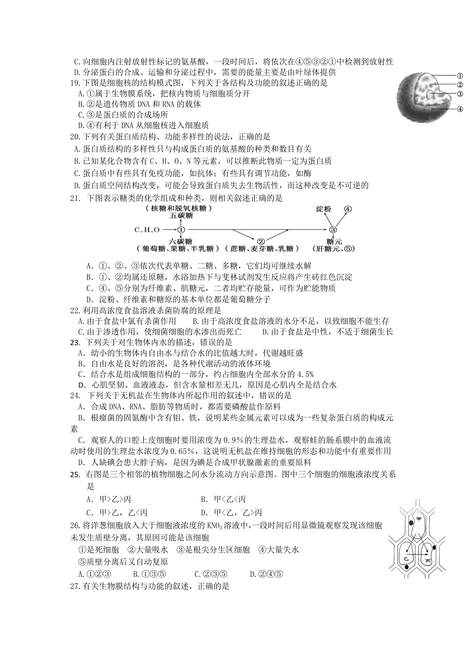 四川省宜宾市南溪区第二中学校2015-2016学年高一上学期期中考试生物试题 WORD版无答案.doc_第3页