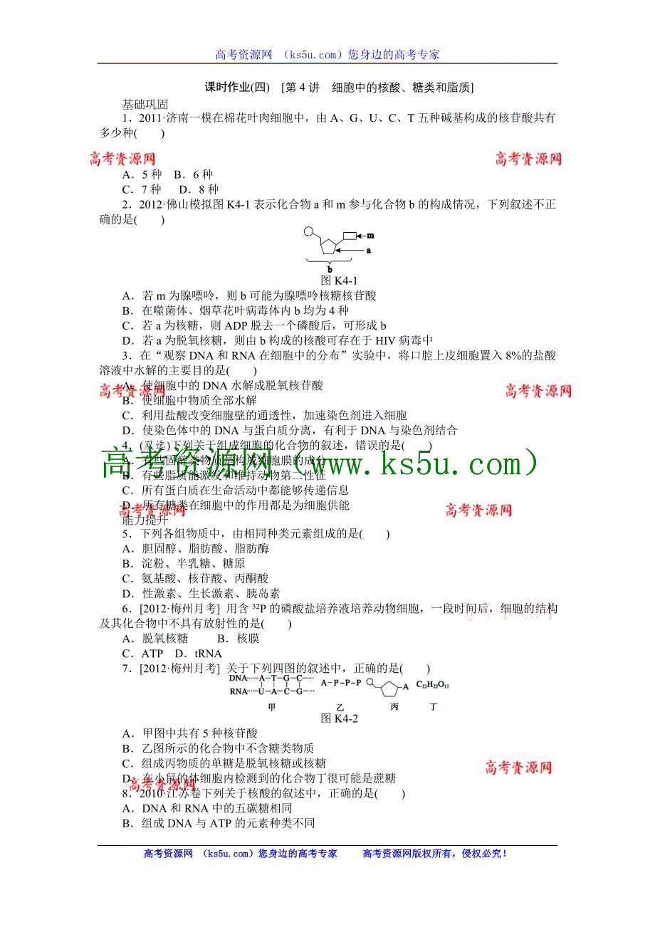 2013届高三广东专版生物一轮复习课时作业4 细胞中的核酸、糖类和脂质.doc_第1页