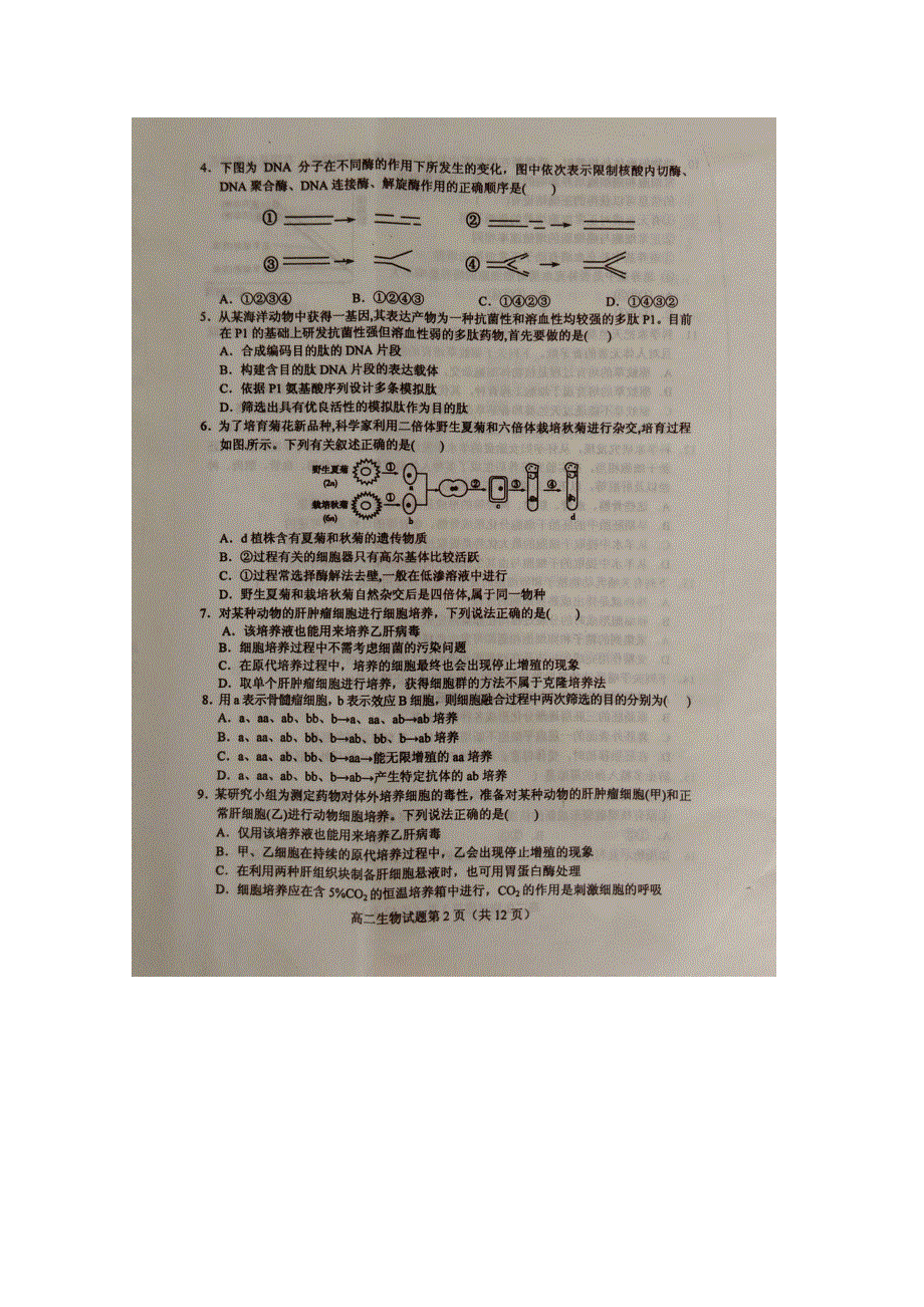 《名校》山东省临沭县2014-2015学年高二下学期期中教学质量抽测生物试题 扫描版含答案.doc_第2页