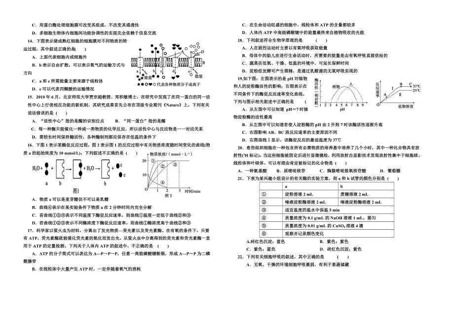 《名校》山西省原平市第一中学2014-2015学年度高一第一学期第二次月考生物试题 WORD版.doc_第2页