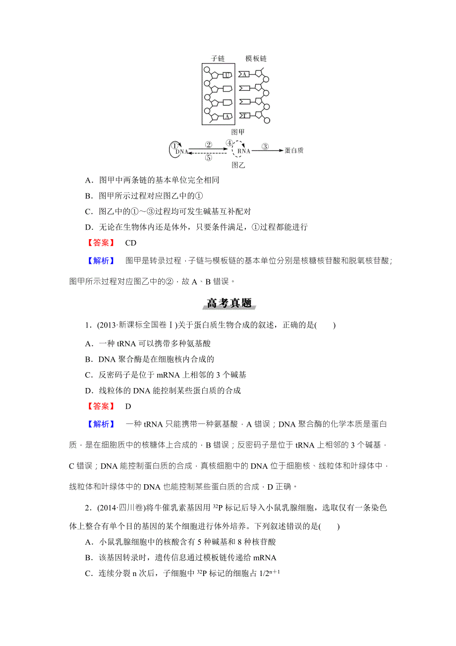 《名师面对面》2016年高考生物一轮总复习能力突破：必修2 第4章 第1、2节基因指导蛋白质的合成、基因对性状的控制 WORD版含解析.doc_第3页