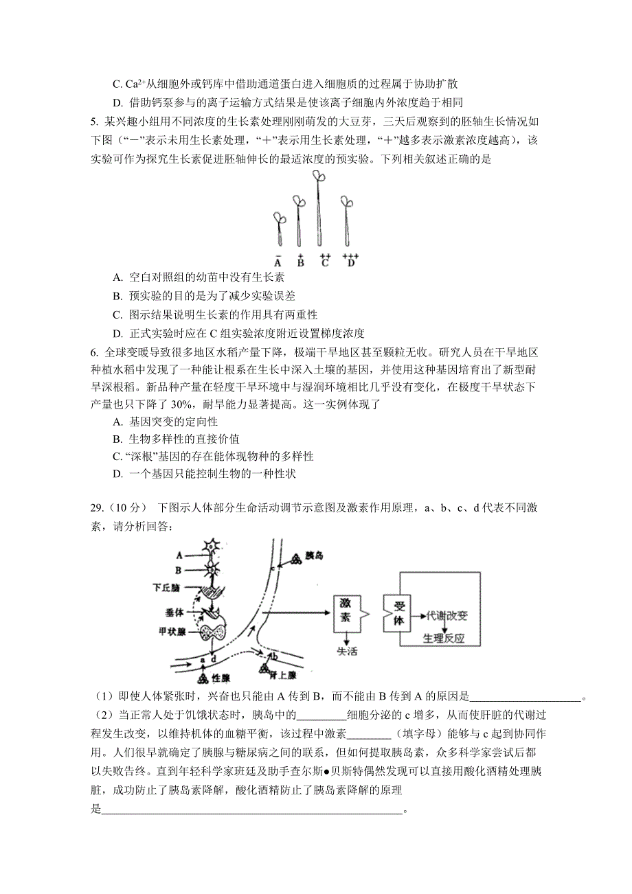 四川省宜宾市叙州二中2021届高三上学期阶段二考试生物试卷 WORD版含答案.doc_第2页