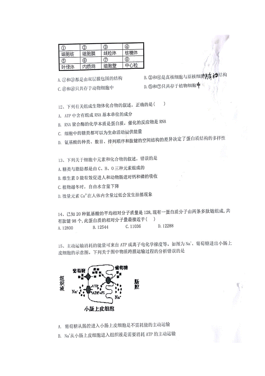 湖南省衡阳县第四中学2019届高三10月月考生物试题 扫描版含答案.doc_第3页