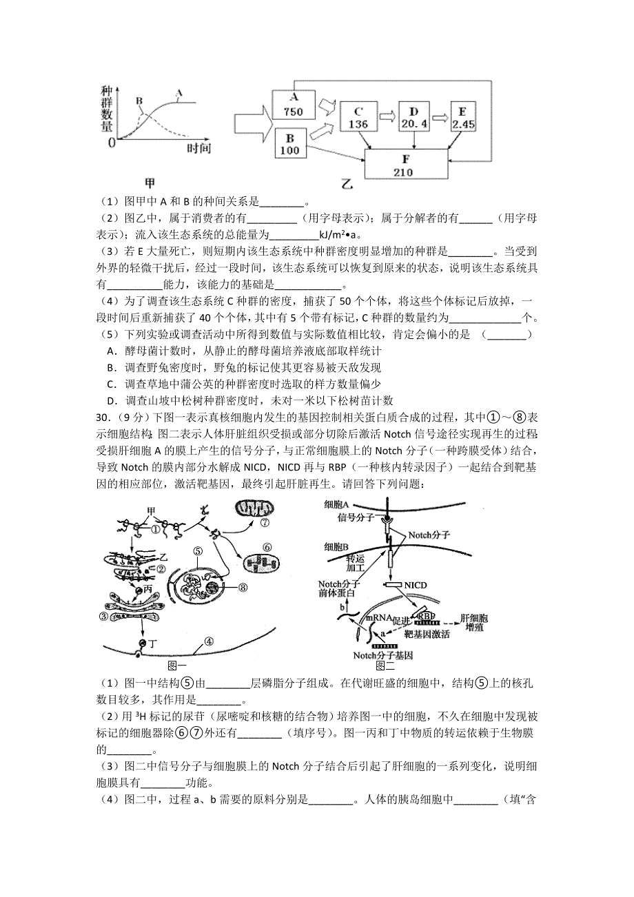 四川省宜宾四中2020届高三下学期第一次在线月考生物试题 WORD版含答案.doc_第2页