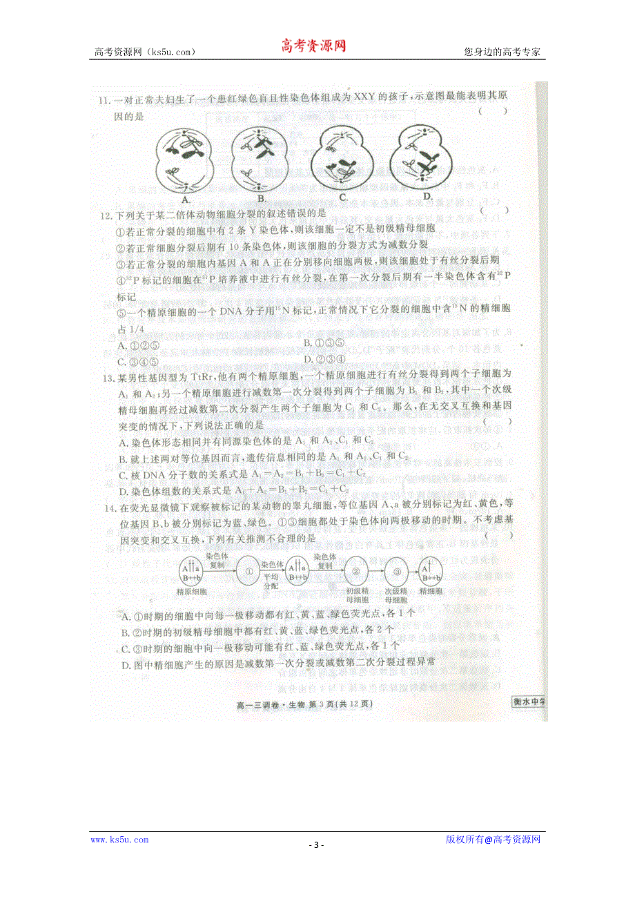 《名校》《全国百强校》河北省衡水中学2014-2015学年高一下学期三调考试生物试题 扫描版含答案.doc_第3页