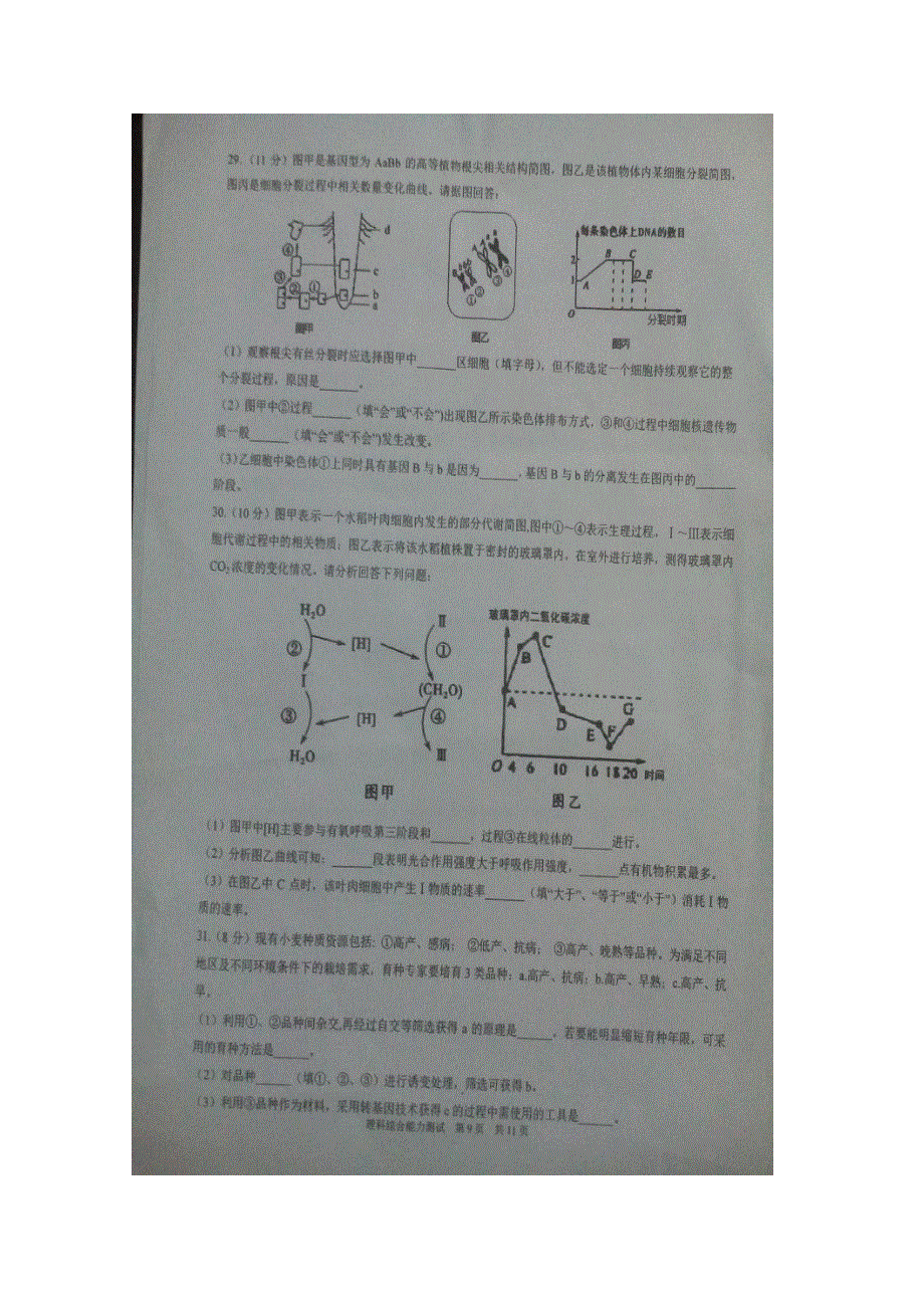 四川省宜宾市2017届高三上学期期中考试（零诊）理科综合生物试题 扫描版含答案.doc_第3页