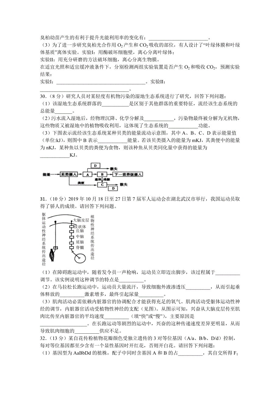 四川省宜宾市叙州区第一中学校2020届高三第一次高考适应性考试理综-生物试题 WORD版含答案.doc_第2页