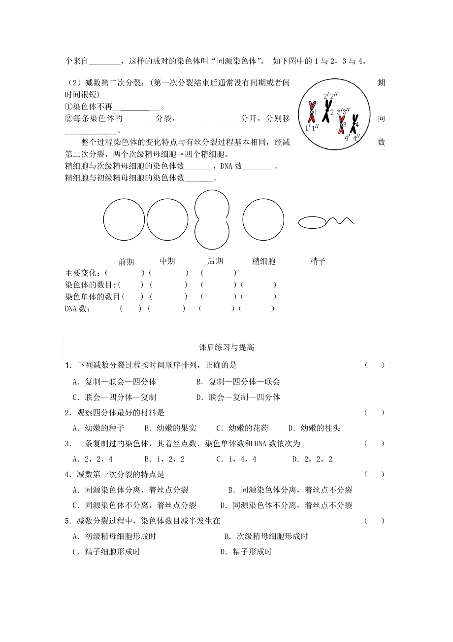 临清四所高中联合制作生物必修二教学案：必修二第二章第1节《减数分裂》导学案1——刘新华.doc_第3页