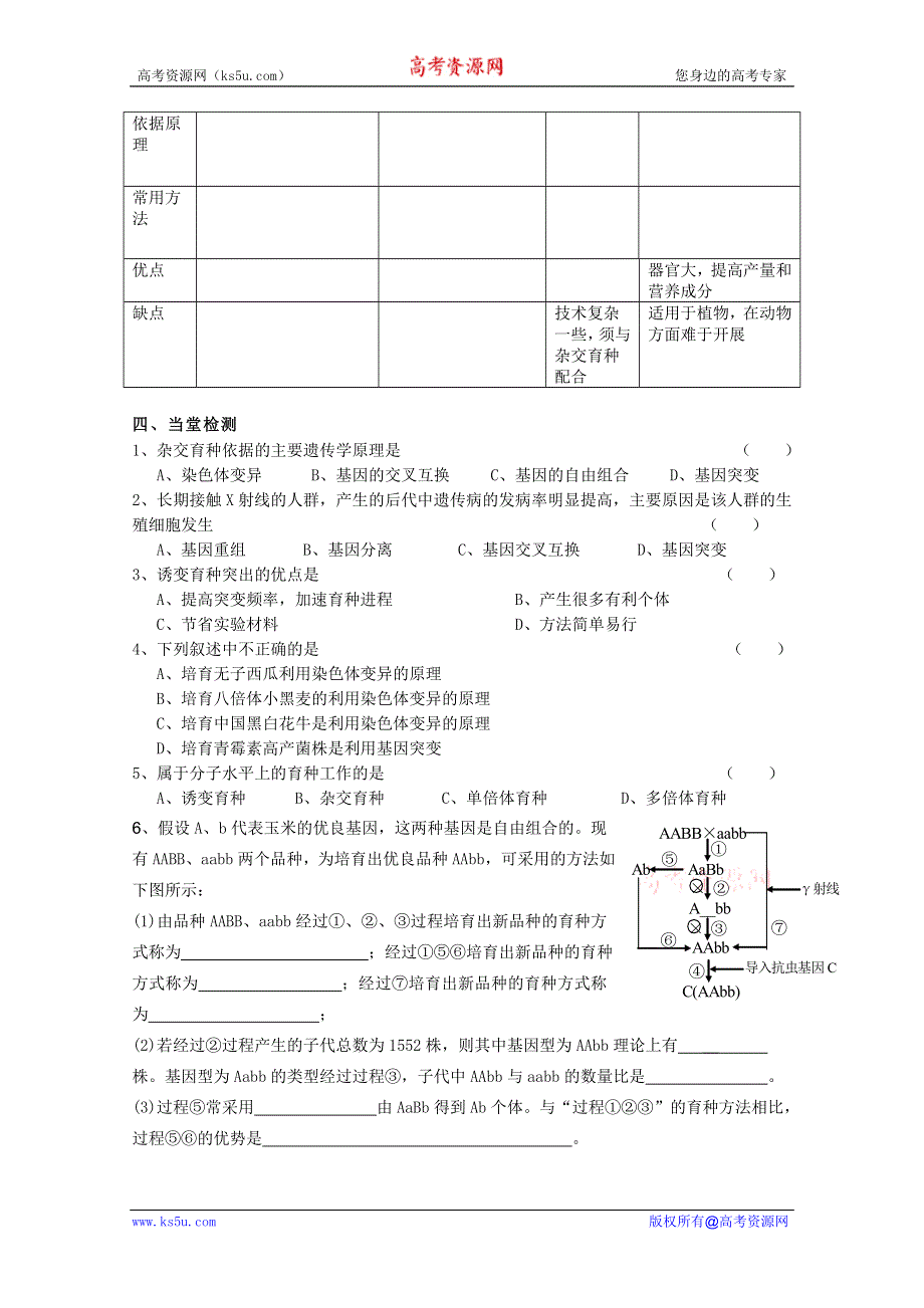 临清四所高中联合制作生物必修二教学案：必修二第六章第1节《杂交育种与诱变育种》导学案——张银生.doc_第3页