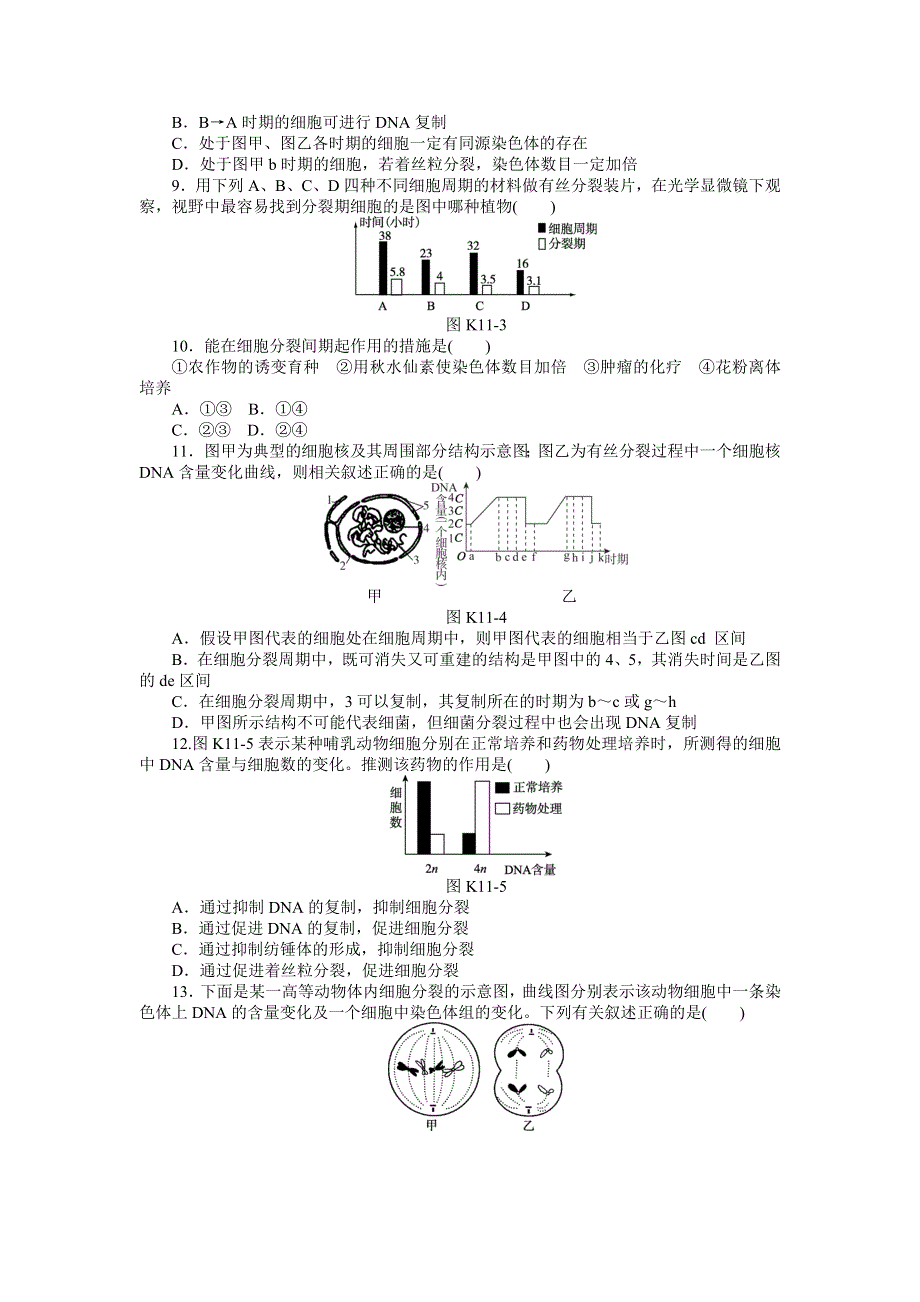 2013届高三浙科版生物一轮复习课时作业11 细胞的增殖.doc_第2页